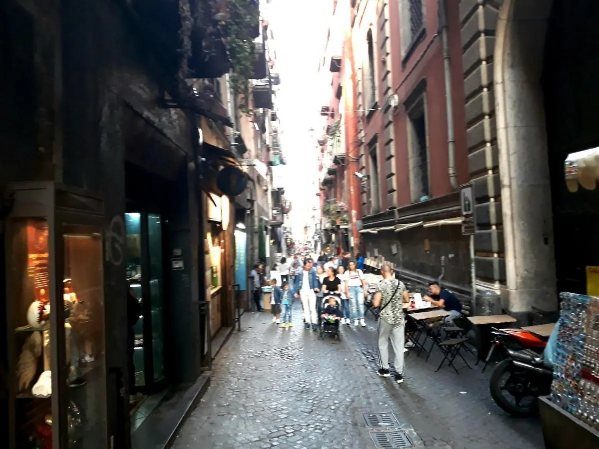 Bed and Breakfast Domus San Biagio 14 Napoli 2*,  Italia